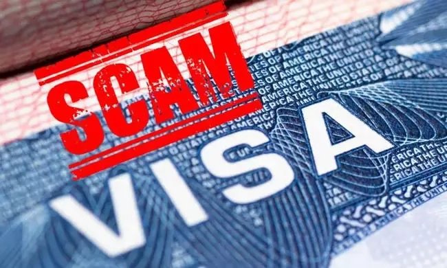 Visa Fraud Case Bilaspur Himachal